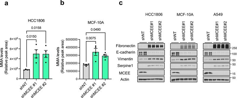 https://cdn.ncbi.nlm.nih.gov/pmc/blobs/b0da/9050834/a0d46b13109c/nihms-1781248-f0006.jpg