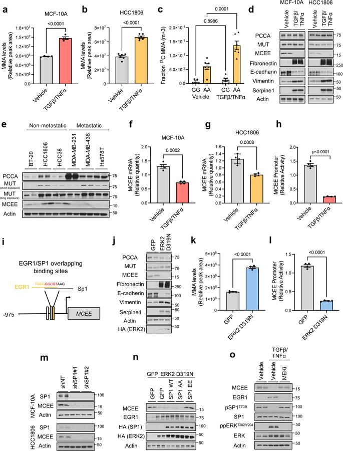 https://cdn.ncbi.nlm.nih.gov/pmc/blobs/b0da/9050834/b8132e2f8e36/nihms-1781248-f0002.jpg