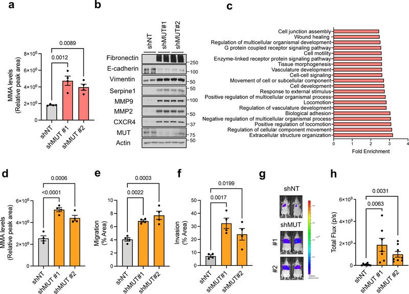 https://cdn.ncbi.nlm.nih.gov/pmc/blobs/b0da/9050834/d9f352b89b96/nihms-1781248-f0003.jpg