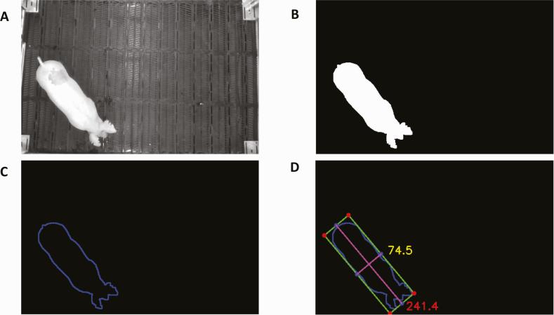 https://cdn.ncbi.nlm.nih.gov/pmc/blobs/b0dc/7906448/3b2dacfacdda/txab006_fig1.jpg