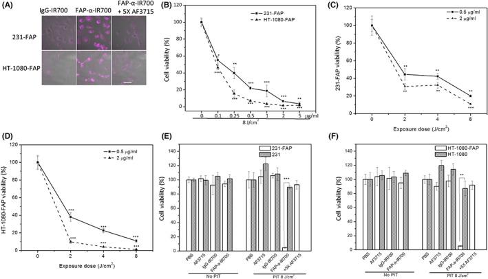 https://cdn.ncbi.nlm.nih.gov/pmc/blobs/b0dd/9807523/6c77d7fcf190/CAS-114-236-g005.jpg
