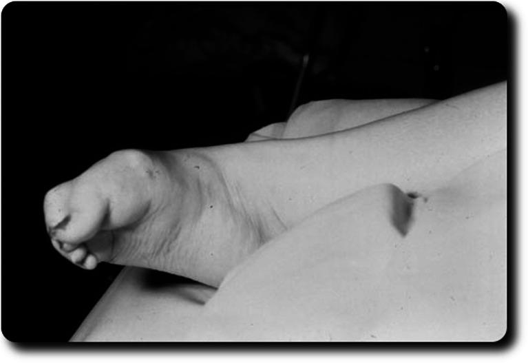 https://cdn.ncbi.nlm.nih.gov/pmc/blobs/b0de/3825153/59fa2e867ff6/11910_2013_402_Fig1_HTML.jpg