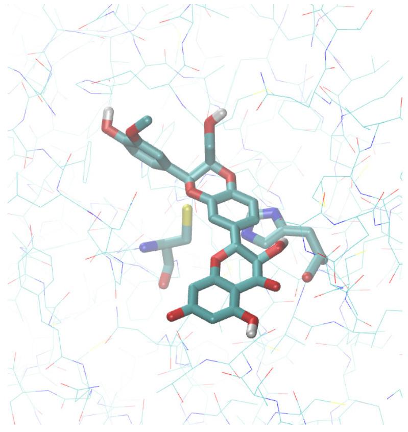 https://cdn.ncbi.nlm.nih.gov/pmc/blobs/b0e0/7961382/ef5be63319be/molecules-26-01409-g001.jpg