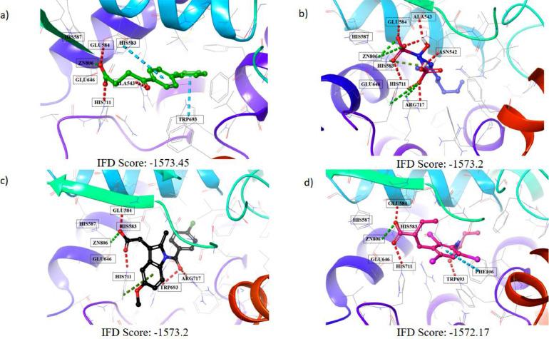 https://cdn.ncbi.nlm.nih.gov/pmc/blobs/b0e1/7422802/cfad313b3d80/gr1_lrg.jpg