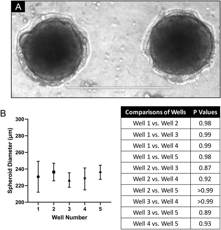 https://cdn.ncbi.nlm.nih.gov/pmc/blobs/b0e1/7522244/600055d4eed1/41598_2020_72952_Fig8_HTML.jpg
