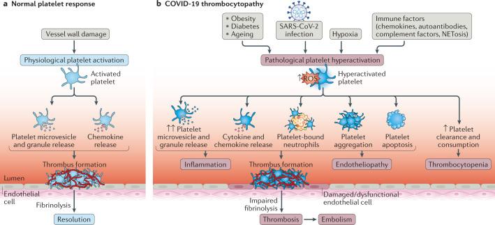 https://cdn.ncbi.nlm.nih.gov/pmc/blobs/b0e1/7675396/a1ee2332bdb0/41569_2020_469_Fig3_HTML.jpg