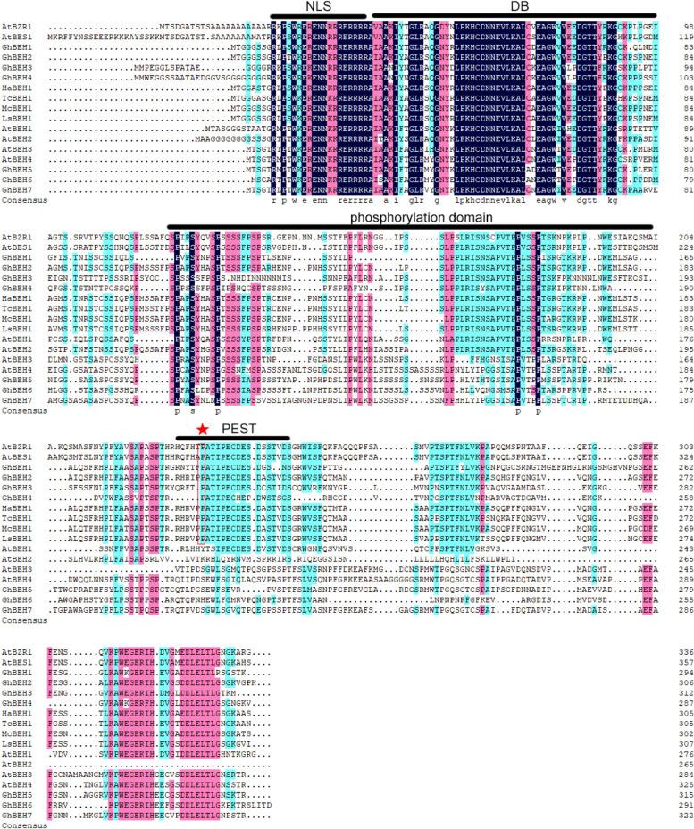 https://cdn.ncbi.nlm.nih.gov/pmc/blobs/b0e3/11792251/8edf42b0d712/12870_2025_6177_Fig3_HTML.jpg