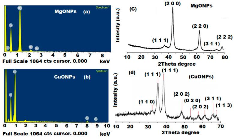 https://cdn.ncbi.nlm.nih.gov/pmc/blobs/b0e4/8123036/7f718d7d34cd/polymers-13-01384-g004.jpg