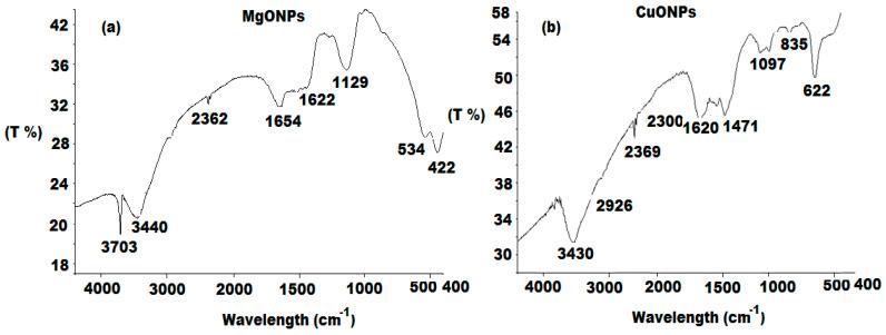 https://cdn.ncbi.nlm.nih.gov/pmc/blobs/b0e4/8123036/d6f6452b3b58/polymers-13-01384-g003.jpg