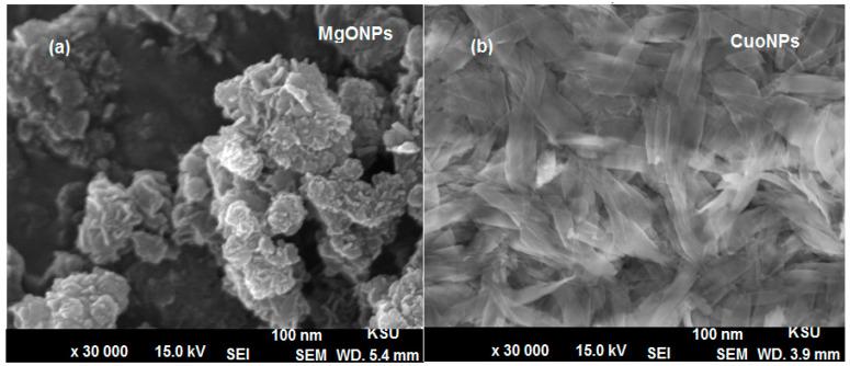 https://cdn.ncbi.nlm.nih.gov/pmc/blobs/b0e4/8123036/f40006bdca8c/polymers-13-01384-g006.jpg