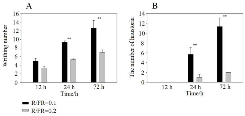 https://cdn.ncbi.nlm.nih.gov/pmc/blobs/b0e5/9322645/3404626d505d/ijms-23-07528-g002.jpg