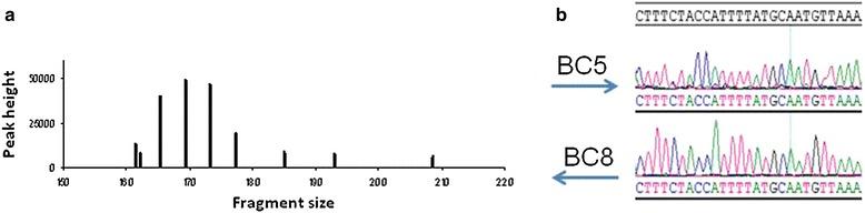 https://cdn.ncbi.nlm.nih.gov/pmc/blobs/b0e6/4784371/f1847edcaee9/12936_2016_1205_Fig1_HTML.jpg