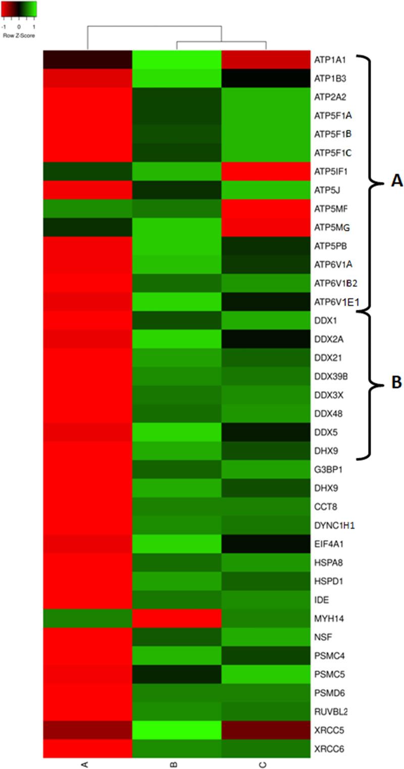 https://cdn.ncbi.nlm.nih.gov/pmc/blobs/b0e6/8153457/0803e2ef5132/pone.0240956.g006.jpg