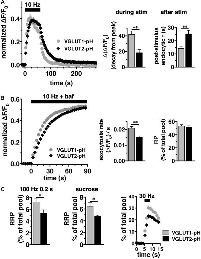https://cdn.ncbi.nlm.nih.gov/pmc/blobs/b0e8/5662623/a16b0e369286/fncel-11-00324-g002.jpg
