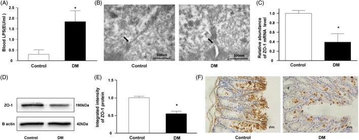 https://cdn.ncbi.nlm.nih.gov/pmc/blobs/b0e9/7064962/8076eaa88ba8/JDB-12-224-g001.jpg