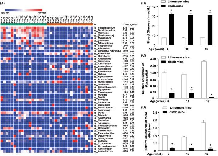 https://cdn.ncbi.nlm.nih.gov/pmc/blobs/b0e9/7064962/84f41a0d228b/JDB-12-224-g003.jpg