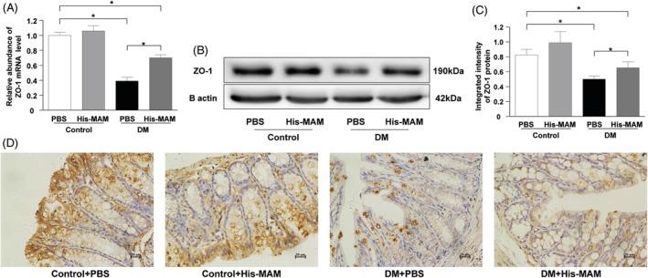 https://cdn.ncbi.nlm.nih.gov/pmc/blobs/b0e9/7064962/f9002955c497/JDB-12-224-g007.jpg