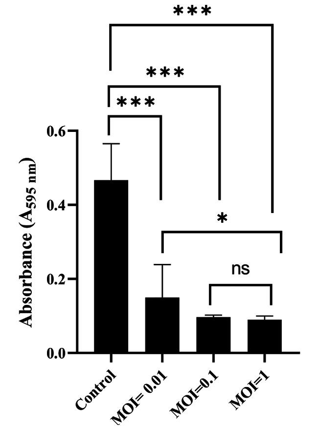 https://cdn.ncbi.nlm.nih.gov/pmc/blobs/b0ee/10661674/20ca39109ab1/13568_2023_1628_Fig4_HTML.jpg