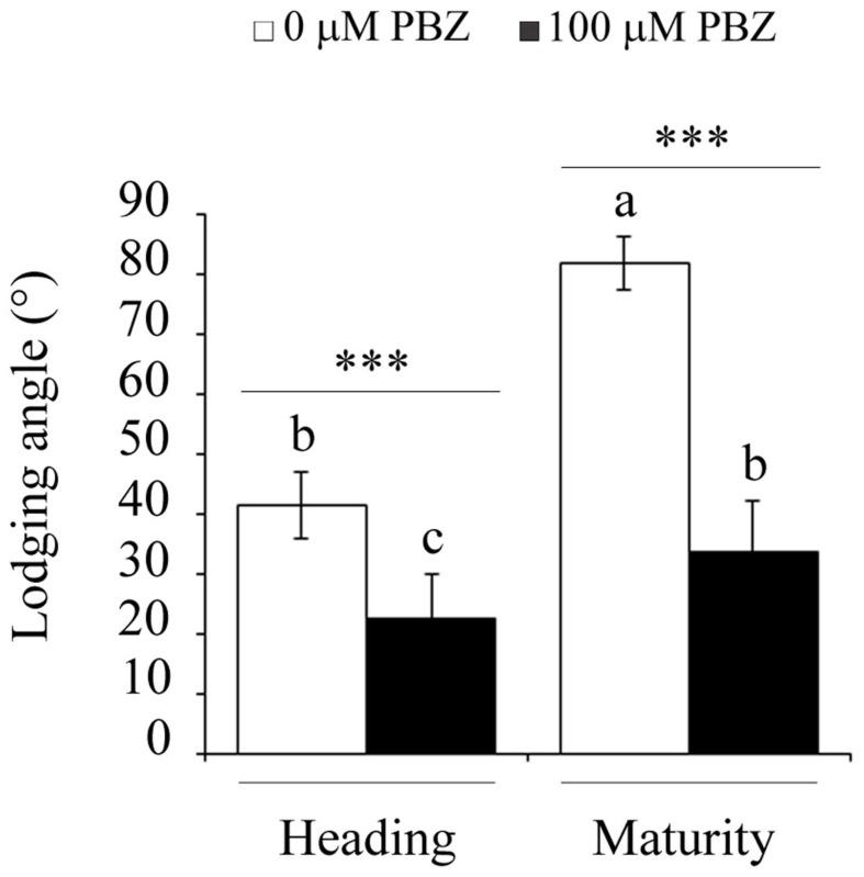 https://cdn.ncbi.nlm.nih.gov/pmc/blobs/b0ef/4865506/42d57a040fa5/fpls-07-00643-g003.jpg