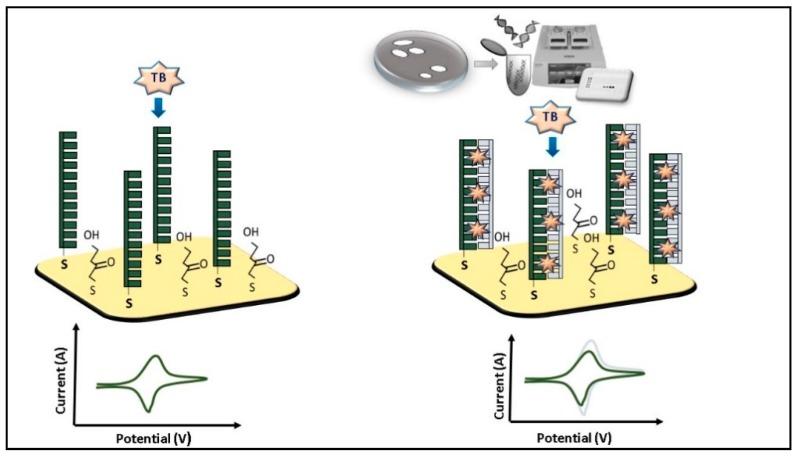 https://cdn.ncbi.nlm.nih.gov/pmc/blobs/b0ef/6722628/b95506c8c8b3/micromachines-10-00500-g002.jpg