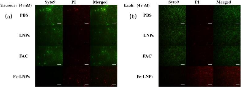 https://cdn.ncbi.nlm.nih.gov/pmc/blobs/b0f0/9721425/785cedea2c55/IDRD_A_2152134_F0003_C.jpg