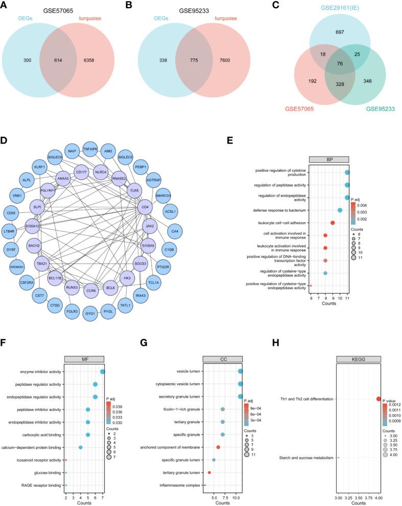 https://cdn.ncbi.nlm.nih.gov/pmc/blobs/b0f2/10851146/2f89ed08d9aa/fimmu-14-1298041-g004.jpg
