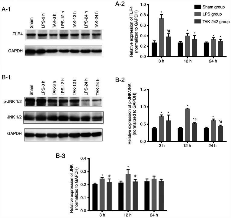 https://cdn.ncbi.nlm.nih.gov/pmc/blobs/b0f2/7974310/d769f8366027/mmr-23-05-11973-g05.jpg