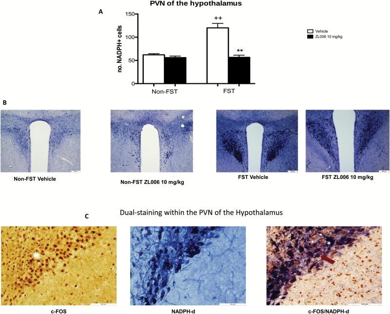 https://cdn.ncbi.nlm.nih.gov/pmc/blobs/b0f5/5632311/7fc706219b92/pyx05303.jpg