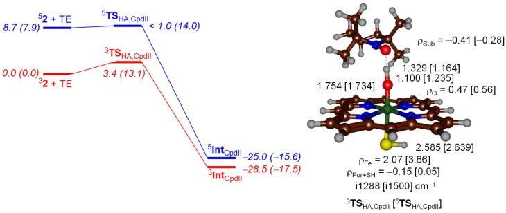 https://cdn.ncbi.nlm.nih.gov/pmc/blobs/b0f5/6073316/6fdfdc343e55/ijms-19-01974-g005.jpg
