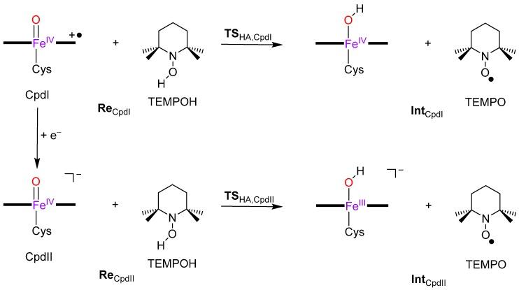 https://cdn.ncbi.nlm.nih.gov/pmc/blobs/b0f5/6073316/7929f9863bb4/ijms-19-01974-g003.jpg