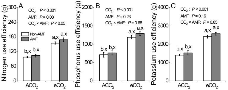 https://cdn.ncbi.nlm.nih.gov/pmc/blobs/b0f9/8148158/85140534b465/jof-07-00361-g003.jpg