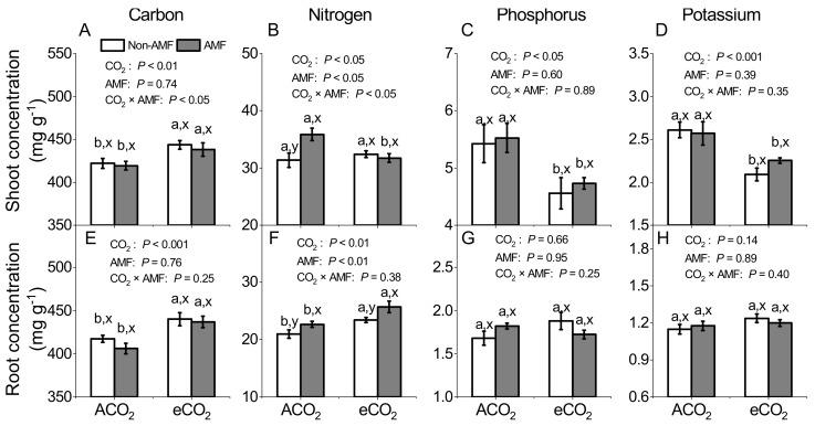 https://cdn.ncbi.nlm.nih.gov/pmc/blobs/b0f9/8148158/8f5c38332bee/jof-07-00361-g001.jpg