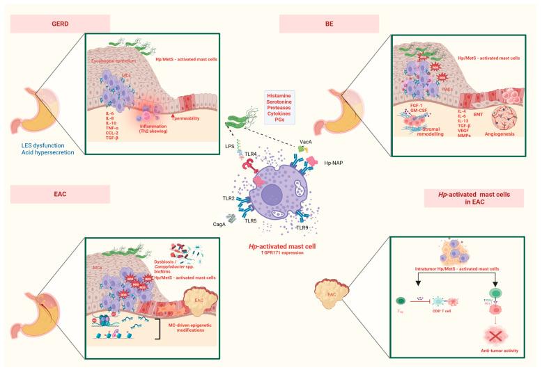 https://cdn.ncbi.nlm.nih.gov/pmc/blobs/b0fb/12388244/38d145776c5e/microorganisms-13-01883-g001.jpg