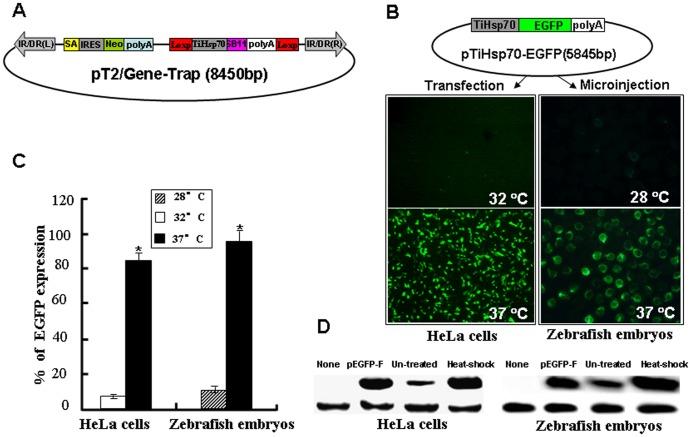 https://cdn.ncbi.nlm.nih.gov/pmc/blobs/b0fb/3432063/082997b1b1ca/pone.0044123.g001.jpg