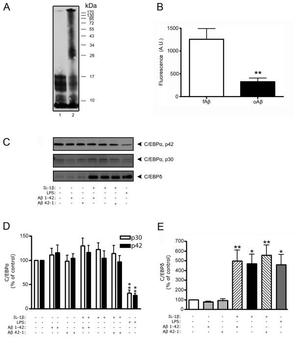 https://cdn.ncbi.nlm.nih.gov/pmc/blobs/b0fd/3096570/f415ac724b1b/1742-2094-8-34-1.jpg