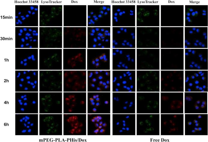 https://cdn.ncbi.nlm.nih.gov/pmc/blobs/b0fd/7032172/39e5bf9d5dc9/ajps445-fig-0007.jpg