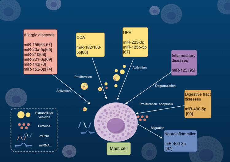 https://cdn.ncbi.nlm.nih.gov/pmc/blobs/b0fe/11735496/f9e5667cd3d5/10238_2024_1554_Fig2_HTML.jpg