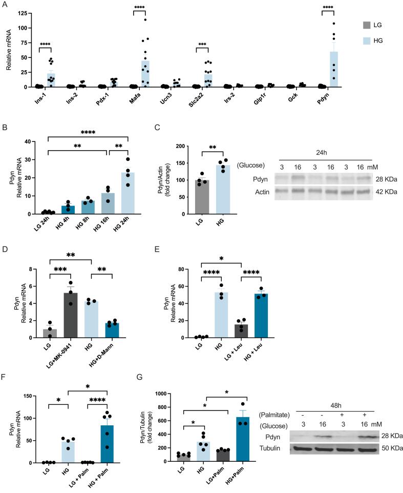 https://cdn.ncbi.nlm.nih.gov/pmc/blobs/b0fe/11846442/23a77d57177d/gr2.jpg