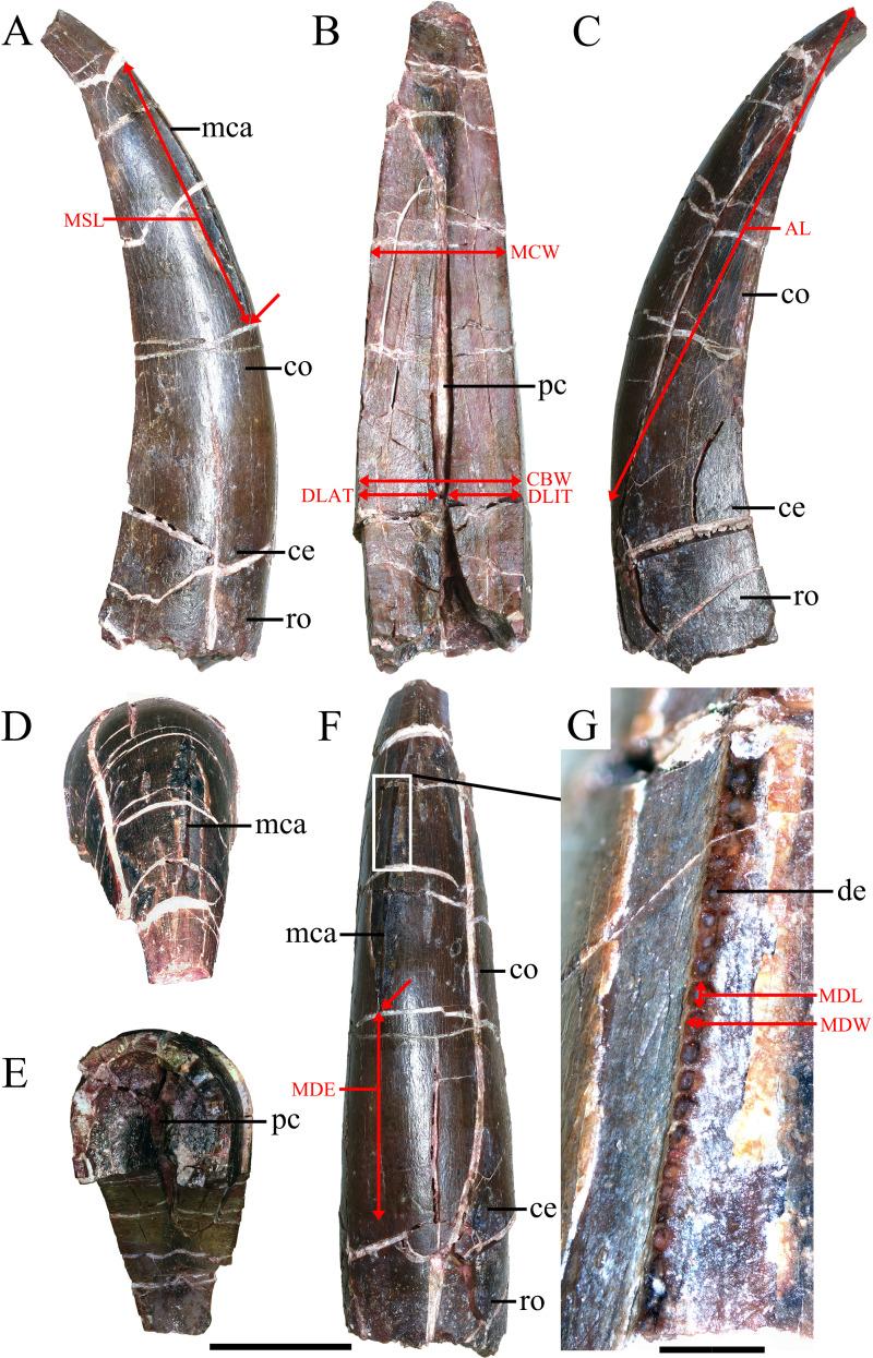 https://cdn.ncbi.nlm.nih.gov/pmc/blobs/b0fe/11847484/1c2f5e8dcc8b/peerj-13-19013-g002.jpg
