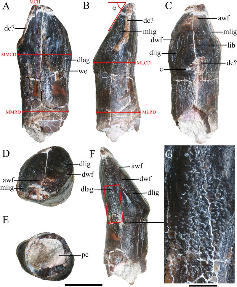 https://cdn.ncbi.nlm.nih.gov/pmc/blobs/b0fe/11847484/99be75ddb984/peerj-13-19013-g003.jpg