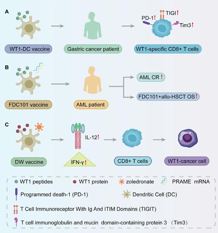 https://cdn.ncbi.nlm.nih.gov/pmc/blobs/b0ff/11700300/8d452172bad7/gr6.jpg