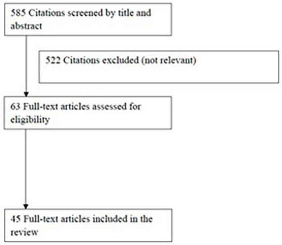 https://cdn.ncbi.nlm.nih.gov/pmc/blobs/b101/9893016/f1a63cb7f95f/fmed-09-1119924-g001.jpg
