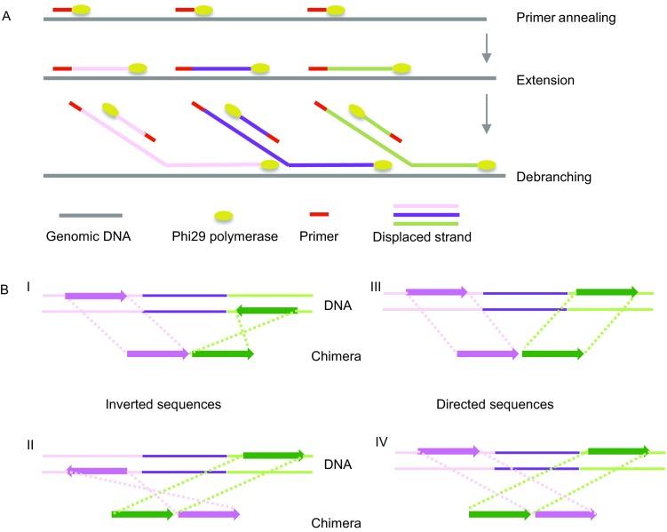 https://cdn.ncbi.nlm.nih.gov/pmc/blobs/b102/5960468/188c256c30f5/13238_2018_544_Fig2_HTML.jpg