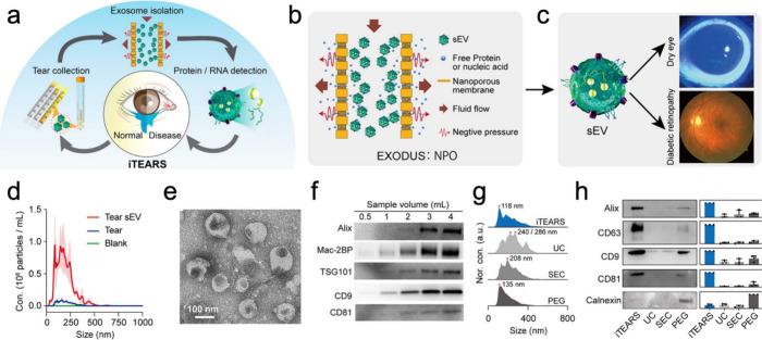 https://cdn.ncbi.nlm.nih.gov/pmc/blobs/b104/11363148/99191f1e5a06/nn4c08486_0004.jpg