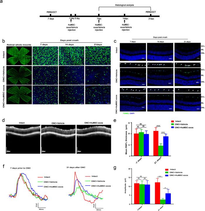 https://cdn.ncbi.nlm.nih.gov/pmc/blobs/b104/11363148/c11c4463142b/nn4c08486_0007.jpg