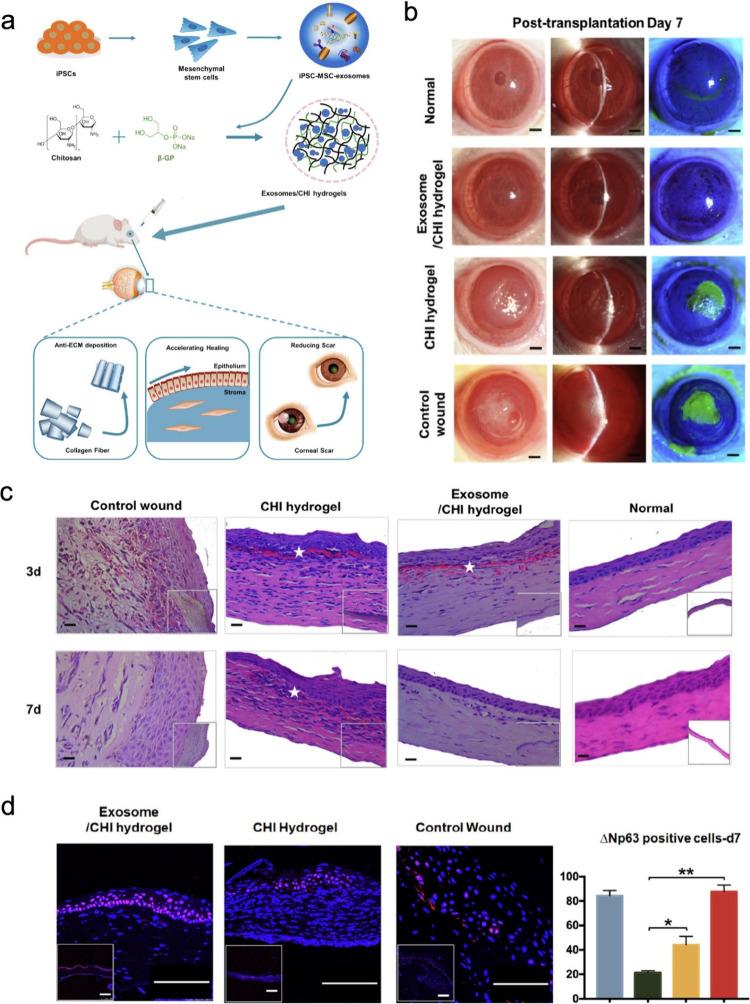 https://cdn.ncbi.nlm.nih.gov/pmc/blobs/b104/11363148/c2cfb46818a5/nn4c08486_0006.jpg