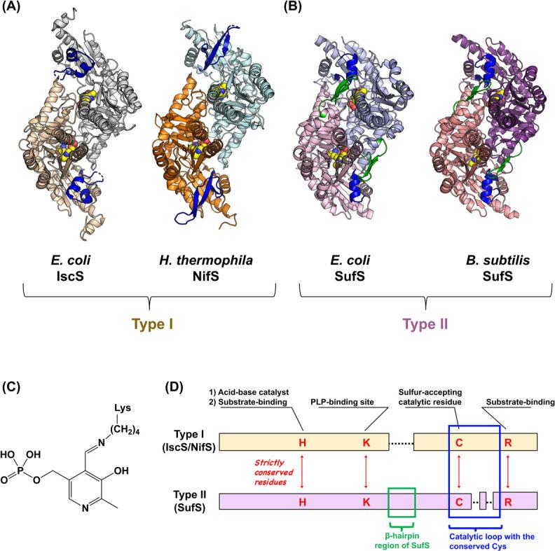 https://cdn.ncbi.nlm.nih.gov/pmc/blobs/b105/8918507/a6bf34587579/19_e190001-g004.jpg