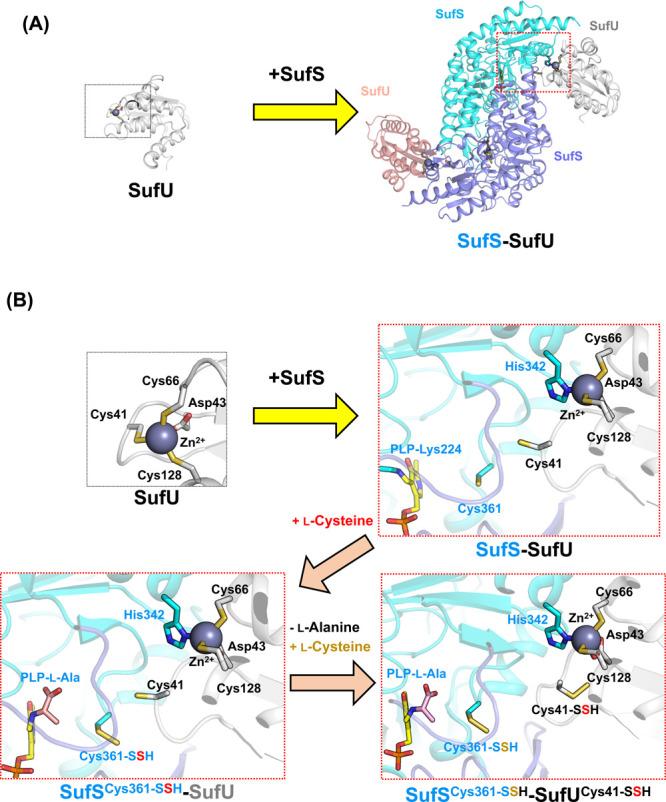 https://cdn.ncbi.nlm.nih.gov/pmc/blobs/b105/8918507/c56da8b8a232/19_e190001-g010.jpg