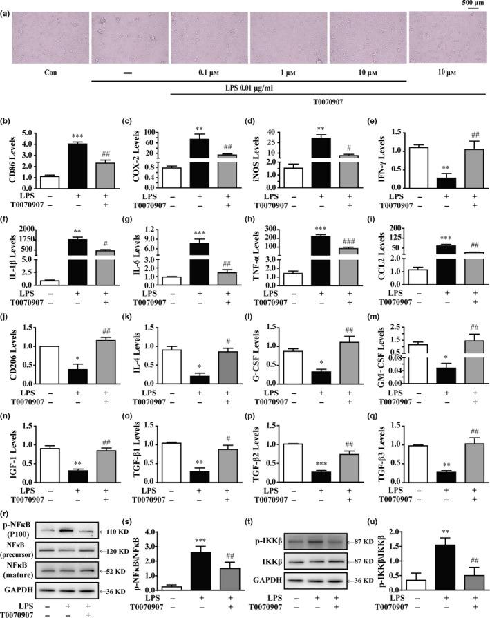 https://cdn.ncbi.nlm.nih.gov/pmc/blobs/b106/6052482/8bc16f227231/ACEL-17-na-g001.jpg