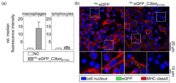 https://cdn.ncbi.nlm.nih.gov/pmc/blobs/b10a/9610094/7d320d0f05f8/toxins-14-00711-g002.jpg